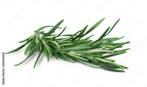 Rosemary