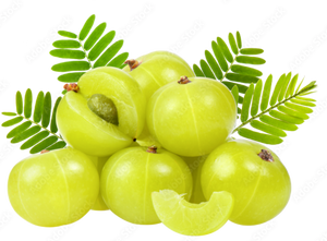 Gooseberry
